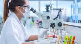Blood Testing Lab Software